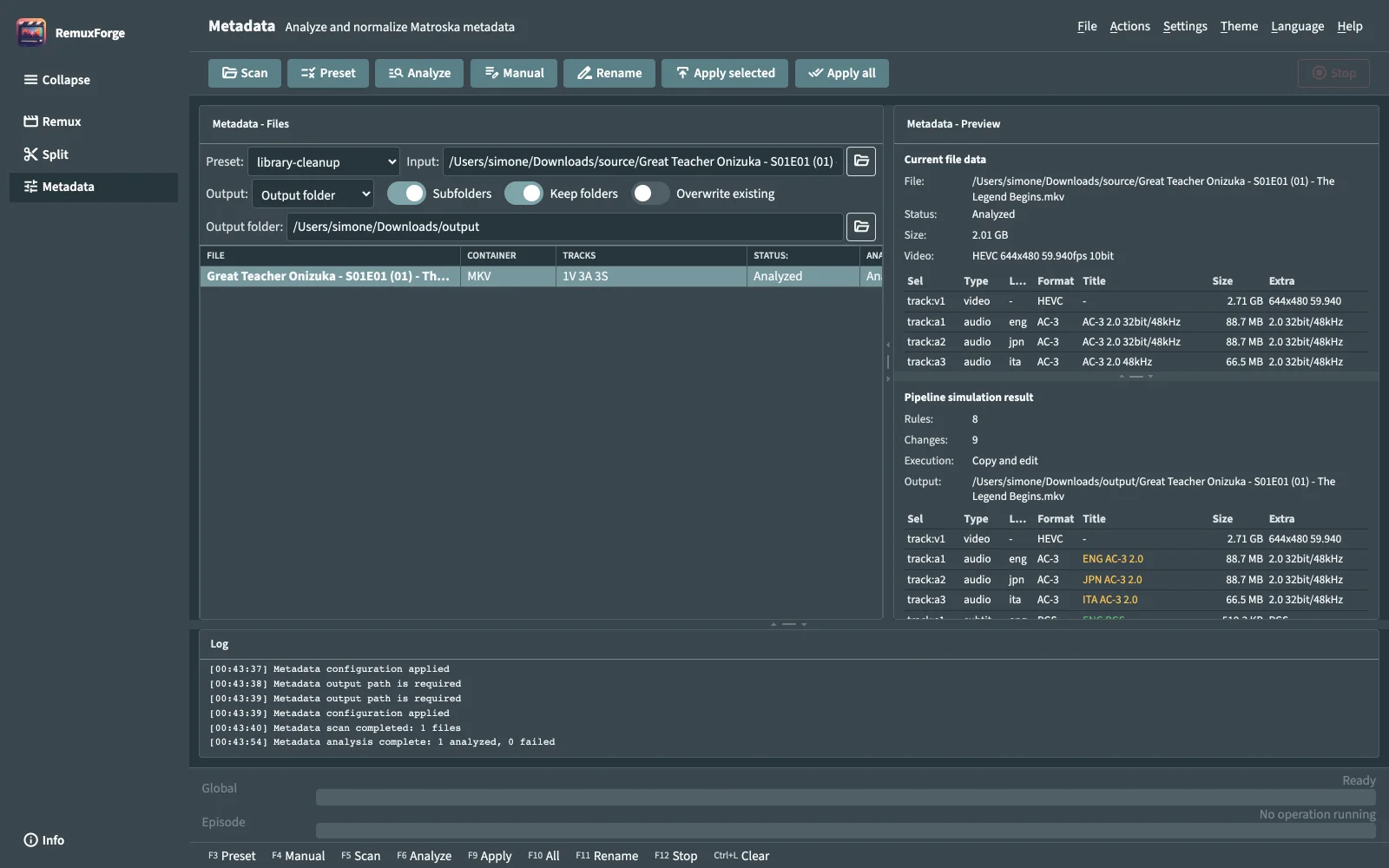 Metadata workspace